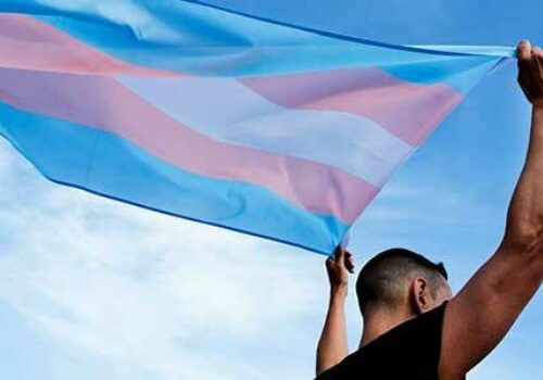 DEI Trans Pride Flag